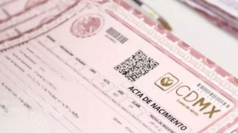 Acta de nacimiento y CURP