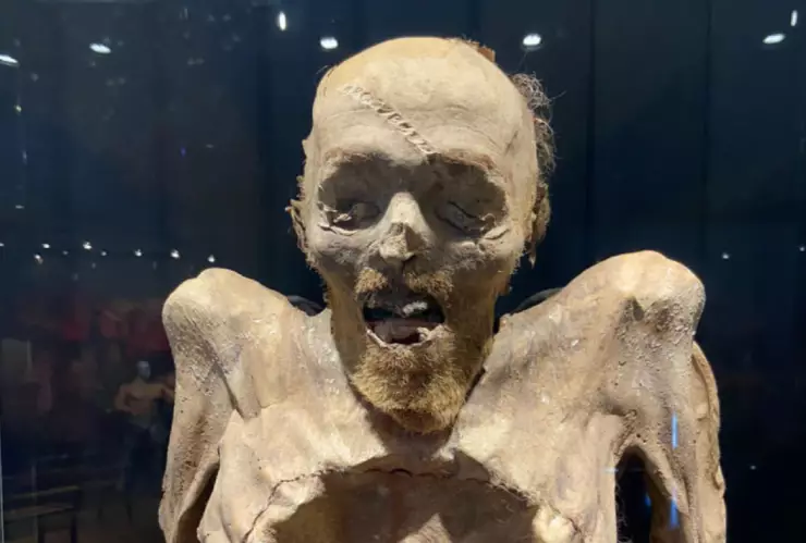 Momias de Guanajuato inah investigacion