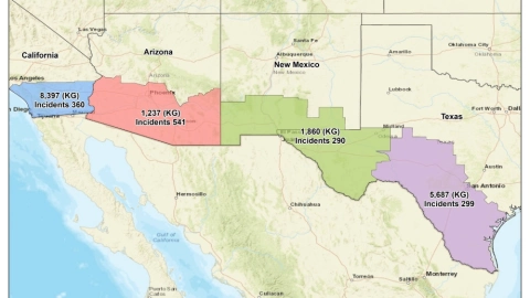 Incautaciones de cocaína en la frontera suroeste, por estado, 2024