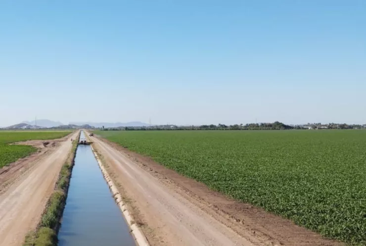 Riego en siembra de maíz