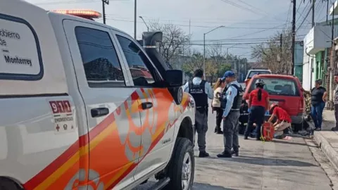 z - 2024-02-26T114451.190.jpg