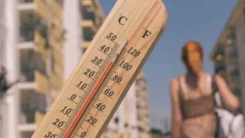 calor veracruz.