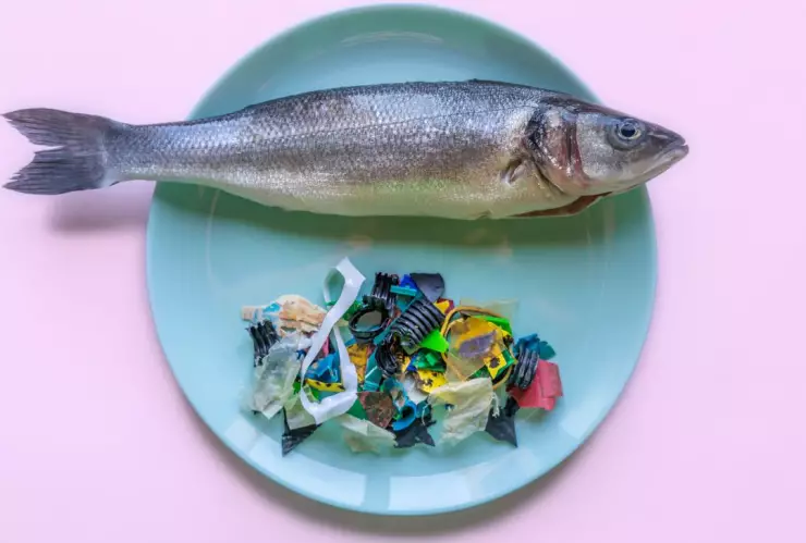 Así afectan los microplásticos en alimentos a tu organismo