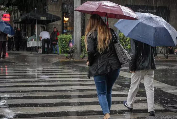 Lluvias en la CDMX provocan cíada de árboles