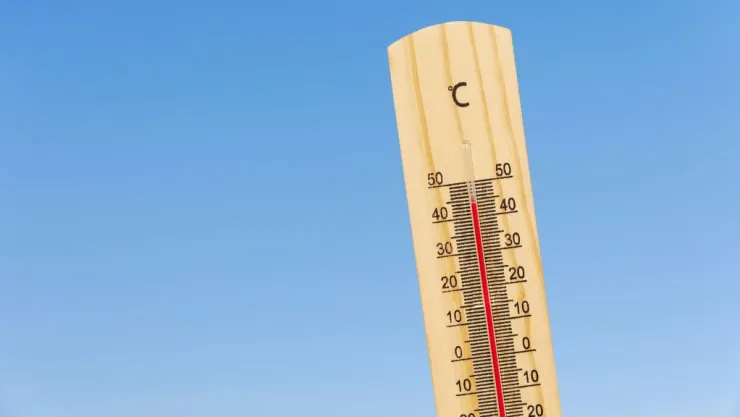 Olas de calor en México 2024