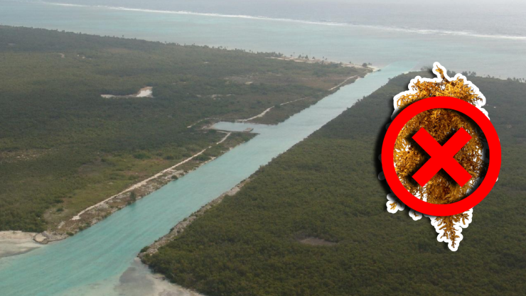 Conoce las playas libres de sargazo en Tulum, Carrillo Puerto, Bacalar, Mahahual y Chetumal HOY 26 de septiembre de 2025.jpg