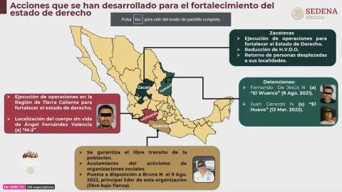 informe seguridad gabinete hechos viole