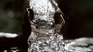 Fuga de agua Ciudad Juárez 23 de septiembre 2025.png