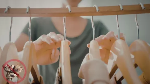 3 trucos caseros para prevenir las polillas en tu clóset, según la IA.jpg