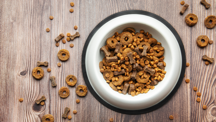 Comida para perro