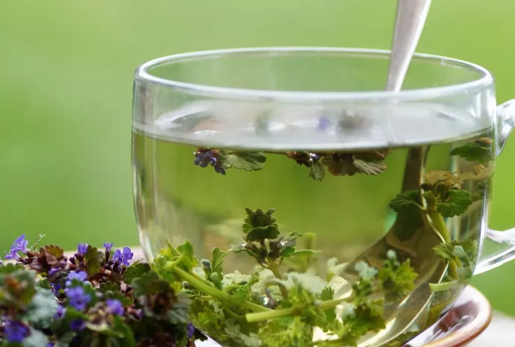 Conoce el té come grasa que te hará bajar de peso mientras duermes