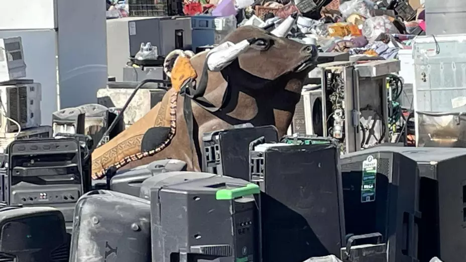 Ciudad Juárez Toro mecanico