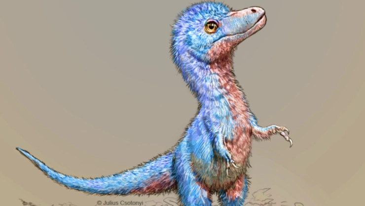 tiranosaurio bebe dibujo