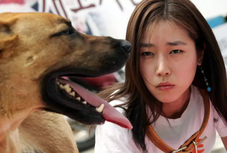 carne de perro en Corea del Sur