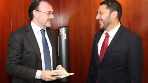 Videgaray reunión senado