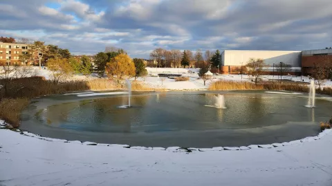 Estanque congelado.jpg