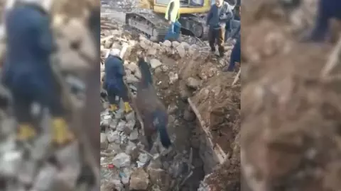 Caballo es rescatado VIVO a 21 días del terremoto en Turquía