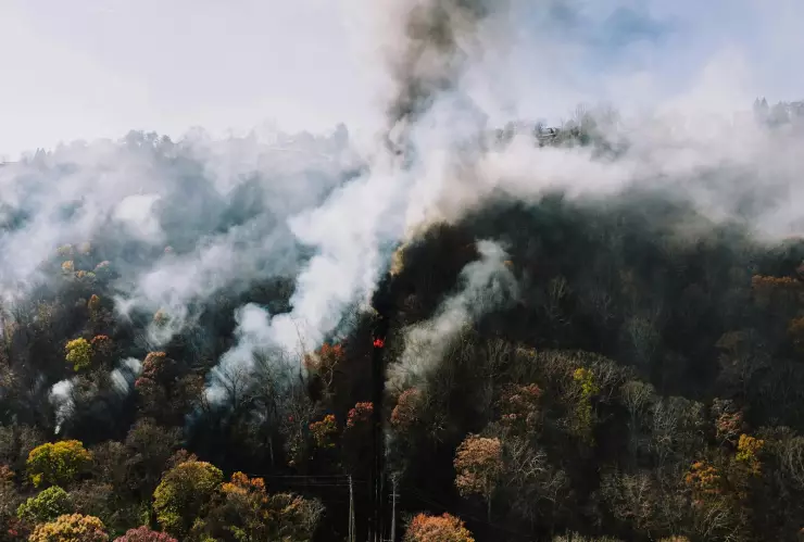Incendio forestal Los Ángeles