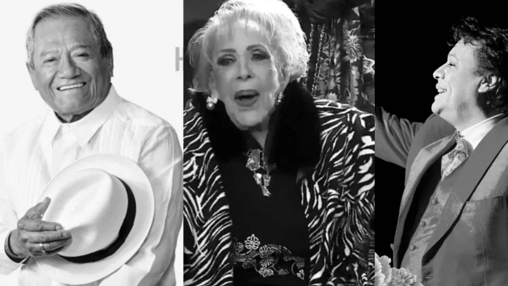 famosos que murieron un dia 28 silvia pina.jpeg