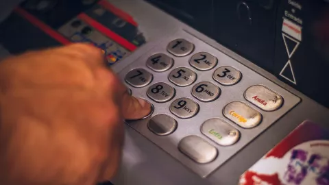 Rata destruye casi 400 mil pesos en cajero automático del banco