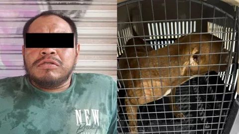 abusador de perrita en cancín