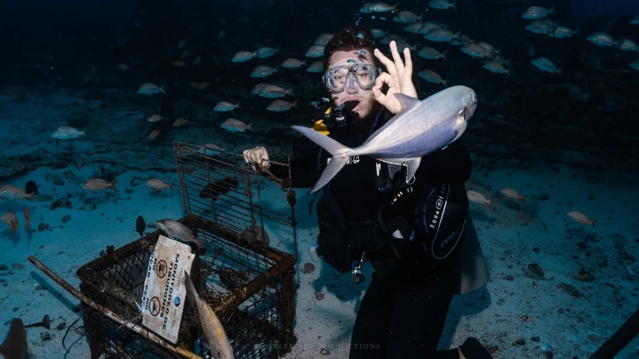 tiburones en el Caribe mexicano.jpg