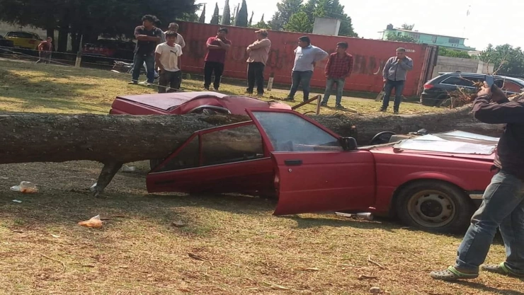 Árbol aplasta auto en estacionamiento Ahuazotepec