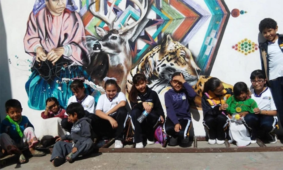 Indigenas informe