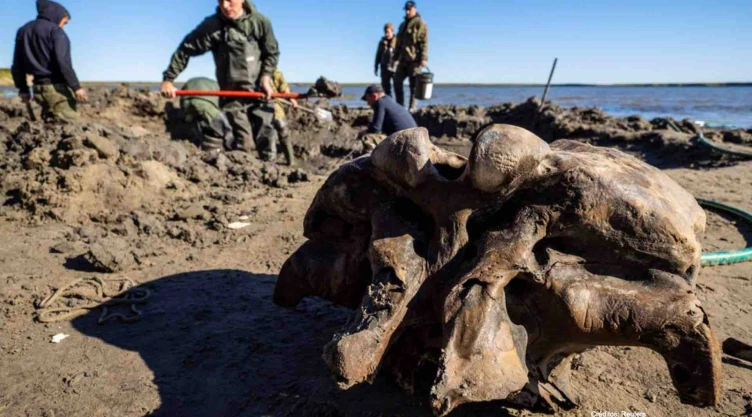 hallazgo mamut norte siberia rusia.jpg