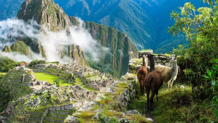 Machu Picchu reabrirá este sábado después de siete meses
