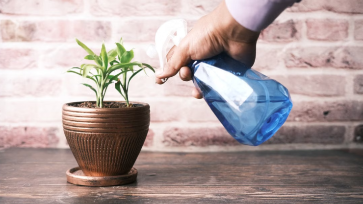 ¿Qué pasa si le pones vinagre blanco a la tierra de tus plantas?