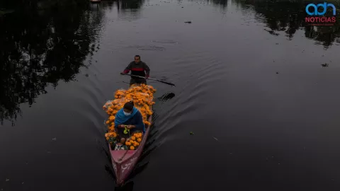 Experiencias en CDMX