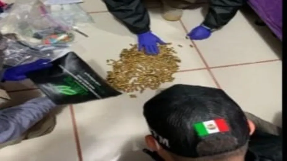 FGR operativo.jpg