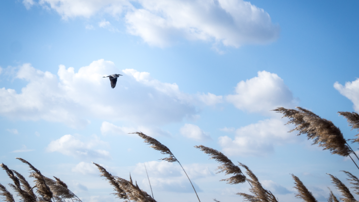 Clima en Tijuana hoy 29 de abril de 2025