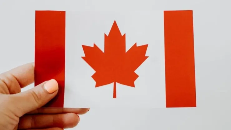 ¡Hay chamba! Canadá busca guardavidas mexicanos ¿cómo aplicar y qué requisitos?