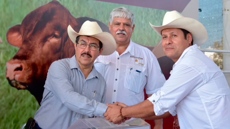 Renuevan hatos ganaderos de Tamaulipas con Programa de Mejoramiento Genético