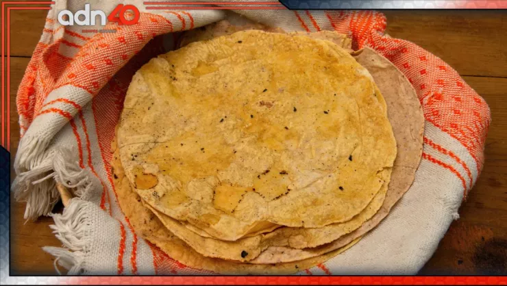 Precio del kilo de tortilla