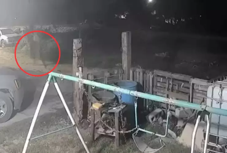 Nahual captado en video