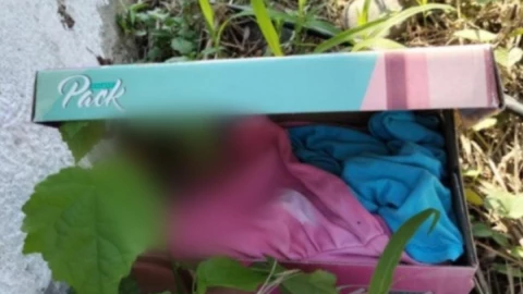 localizan a bebe en caja de zapatos en veracruz