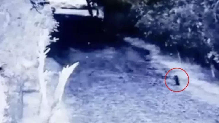 ¿Es un duende Captan una extraña figura corriendo por un terreno