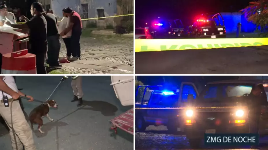 ZMG DE NOCHE Pitbull ataca a joven en Guadalajara_.jpg