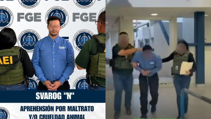 Detienen a sujeto por mutilar gatos en Ensenada, Baja California