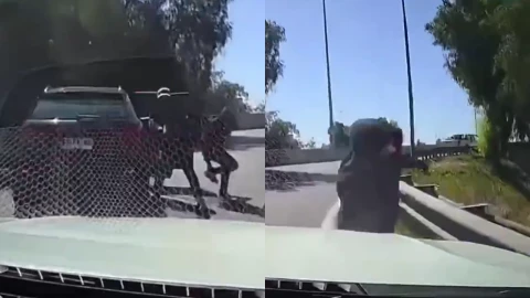 Conductor atropella a delincuente que intentó asaltarlo