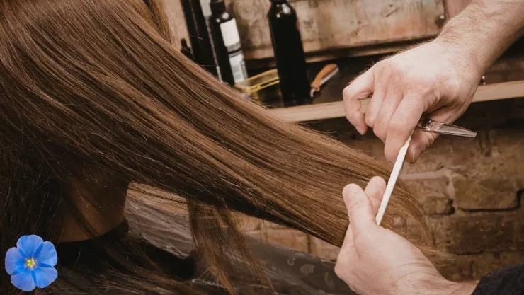 Los 2 cortes de cabello que dejaremos de ver en esta primavera 2026, según la IA.jpg