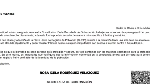 Captura de pantalla 2024-10-30 182854