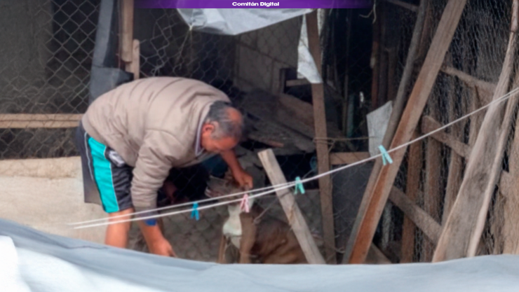 “No tiene un día de paz”: Denuncian perro golpeado en barrio Los Sabinos