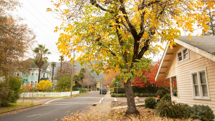 el pintoresco pueblo de Ukiah en California