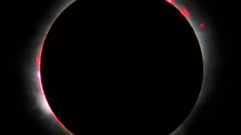 Sol campo magnético