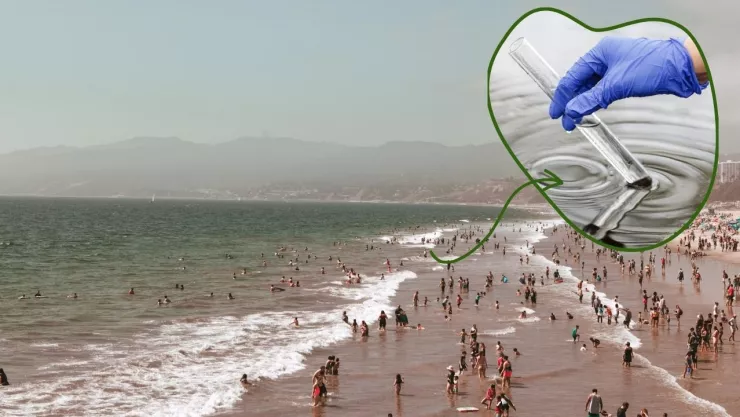 ¿Por qué es malo nadar en playas contaminadas de Baja California y cómo saber si son aptas esta Semana Santa 2025?