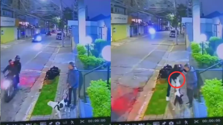 ¡Héroe peludo! Perro ataca a asaltante y salva a su dueño de un robo (VIDEO)